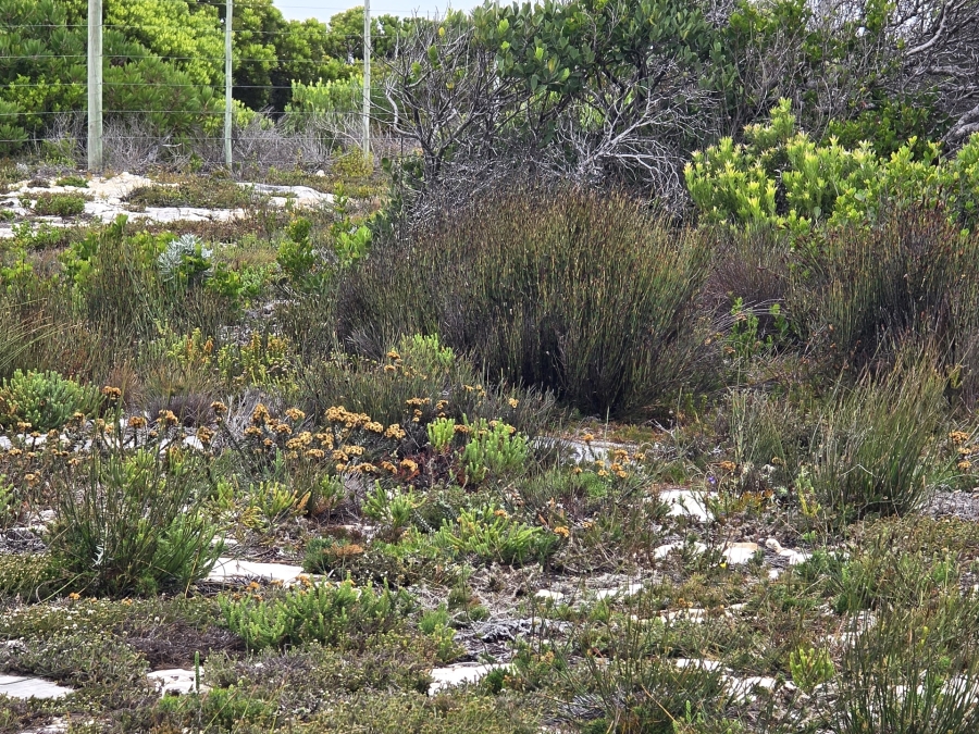 0 Bedroom Property for Sale in Agulhas Western Cape